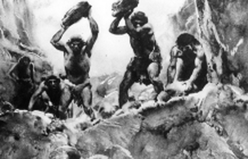 Raging-Bull-Page-fight-or-fight-img